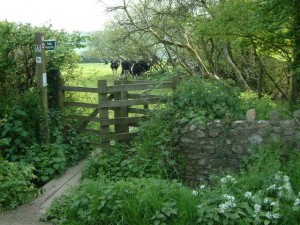 Kissing_Gate_and_Public_Footpath_-_geograph.org.uk_-_171907