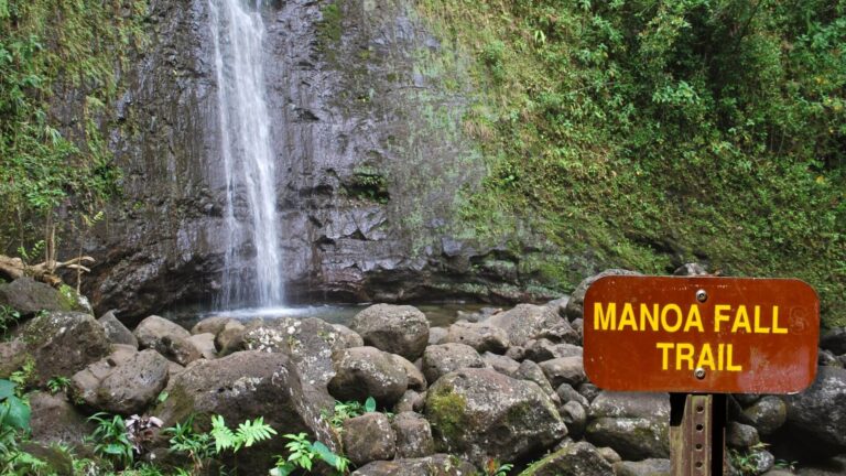 Manoa Falls Hike Oahu 768x432