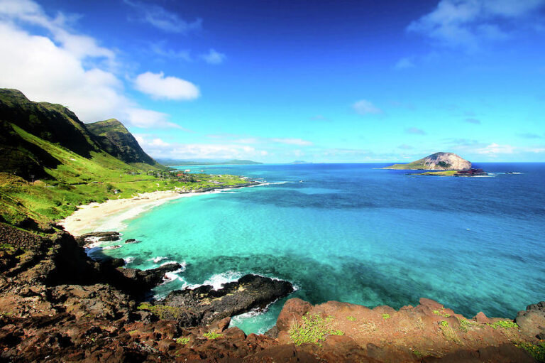 makapuu lookout 768x511